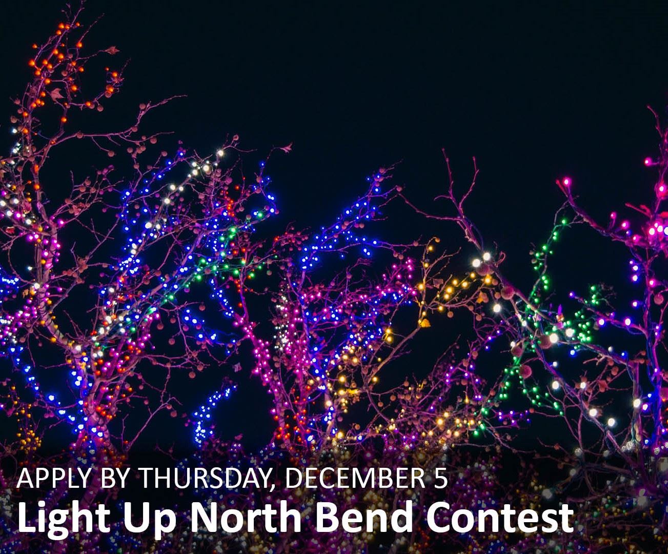 Light Up North Bend