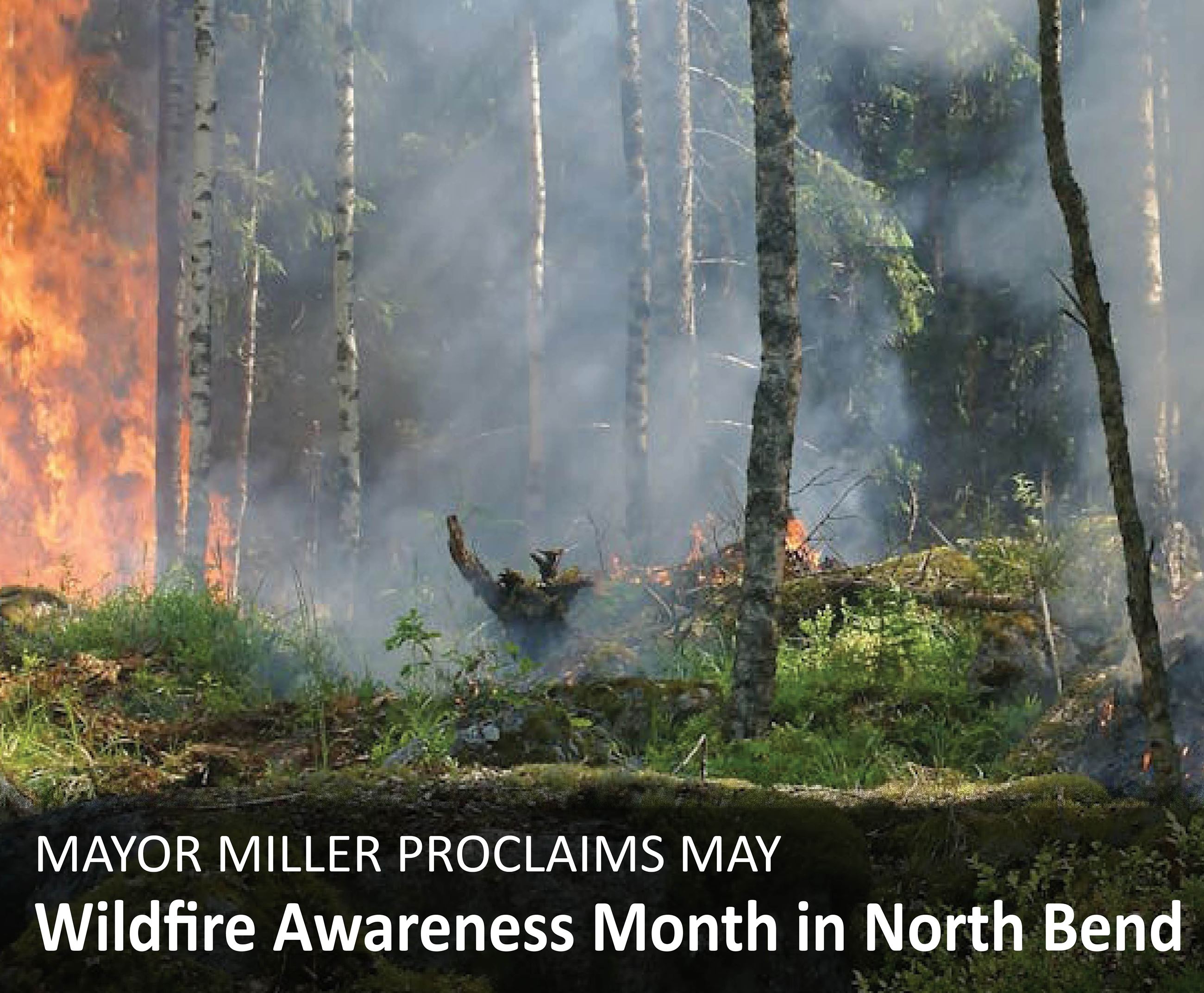 Wildfire Awareness Website Infographic