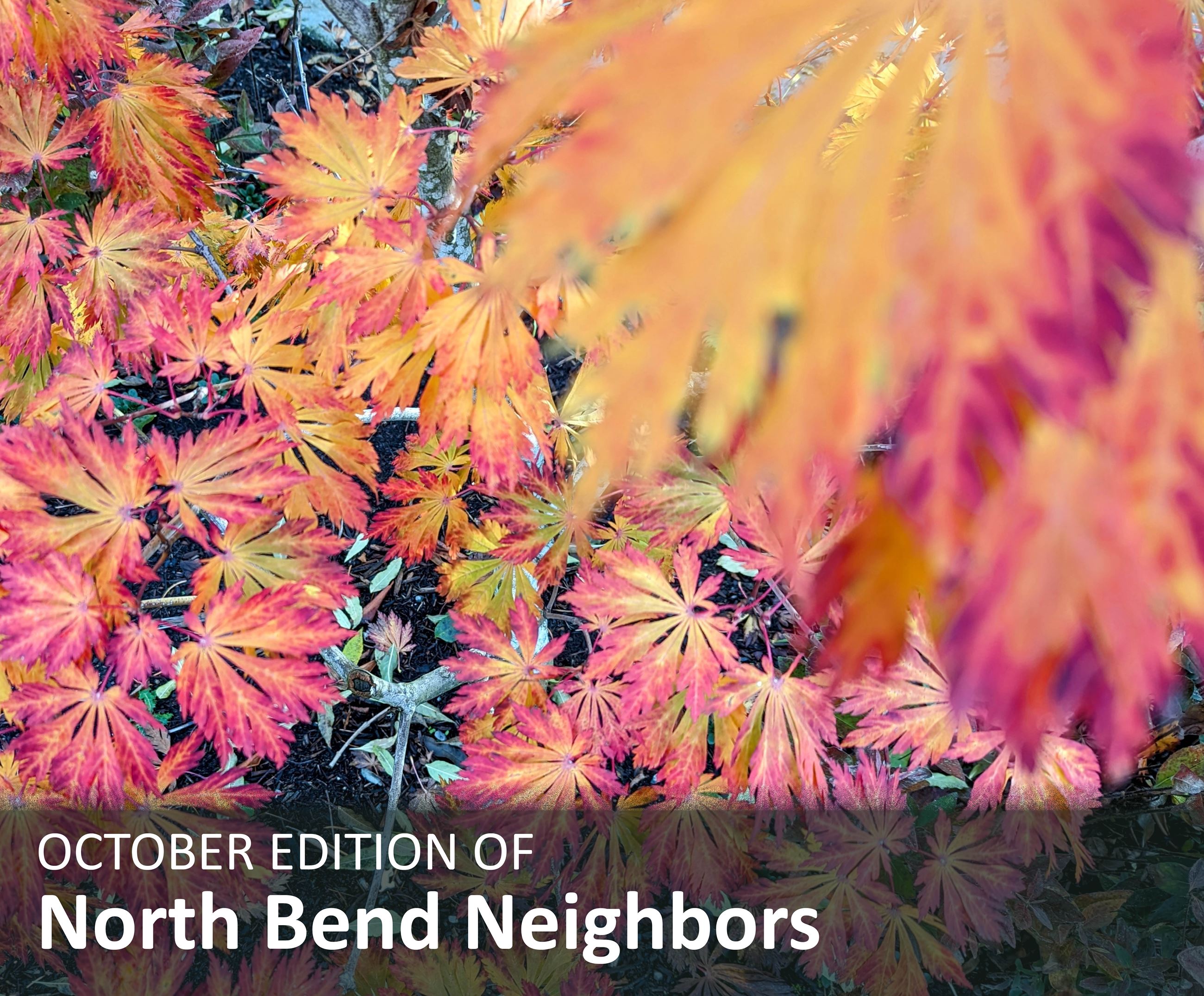 North Bend Neighbors