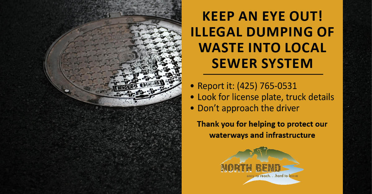 Illegal duming sewer system