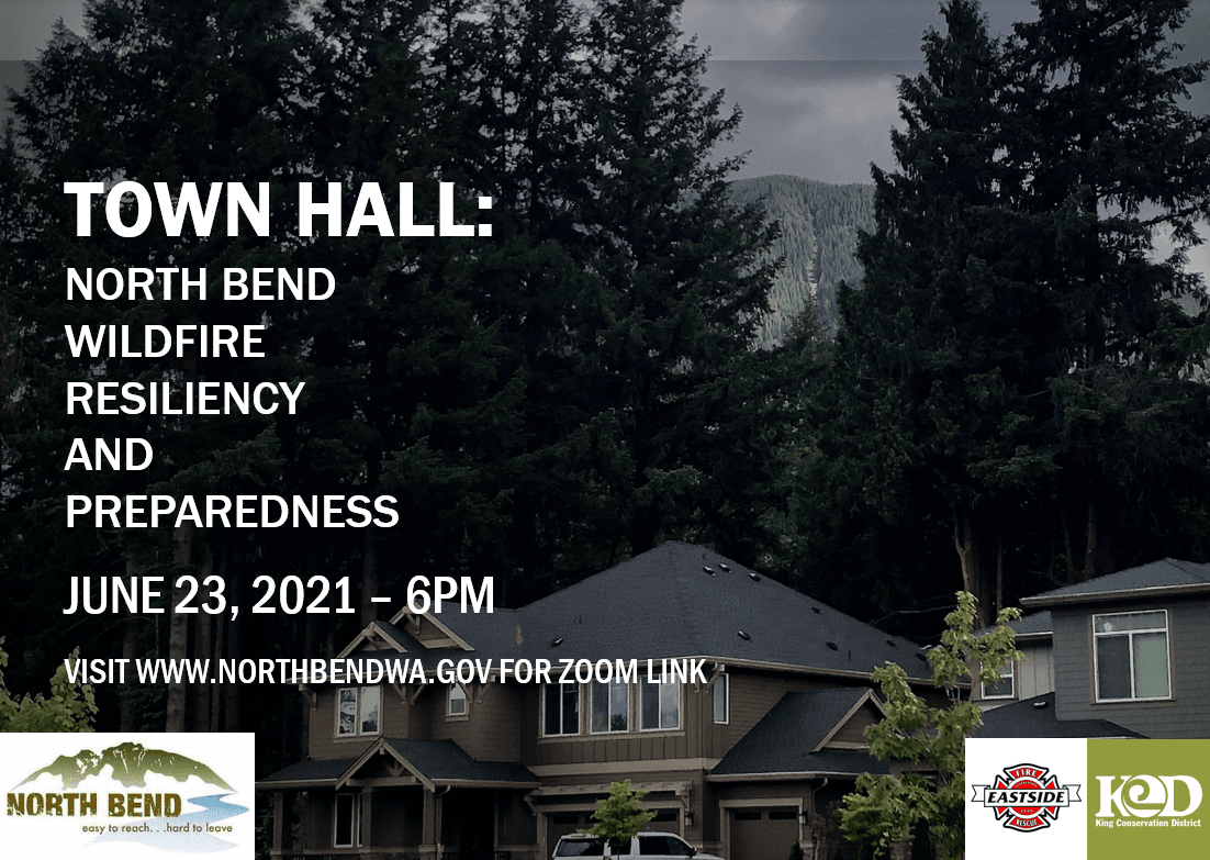 town hall infographic