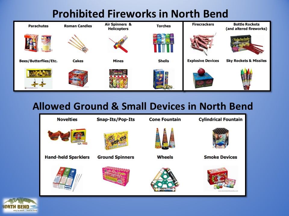 Fireworks Infographic 2