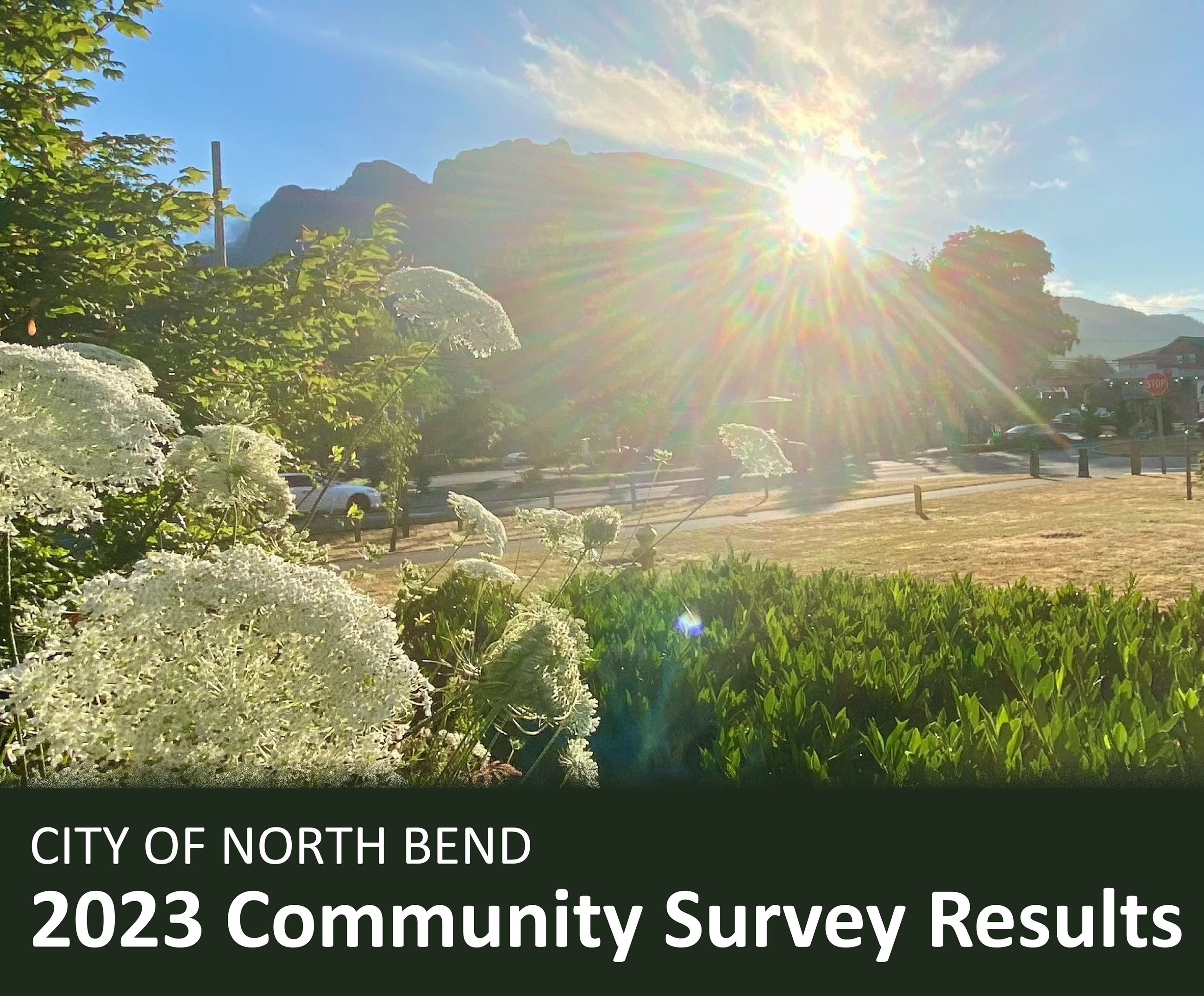 Community Survey Results, 2023_Square