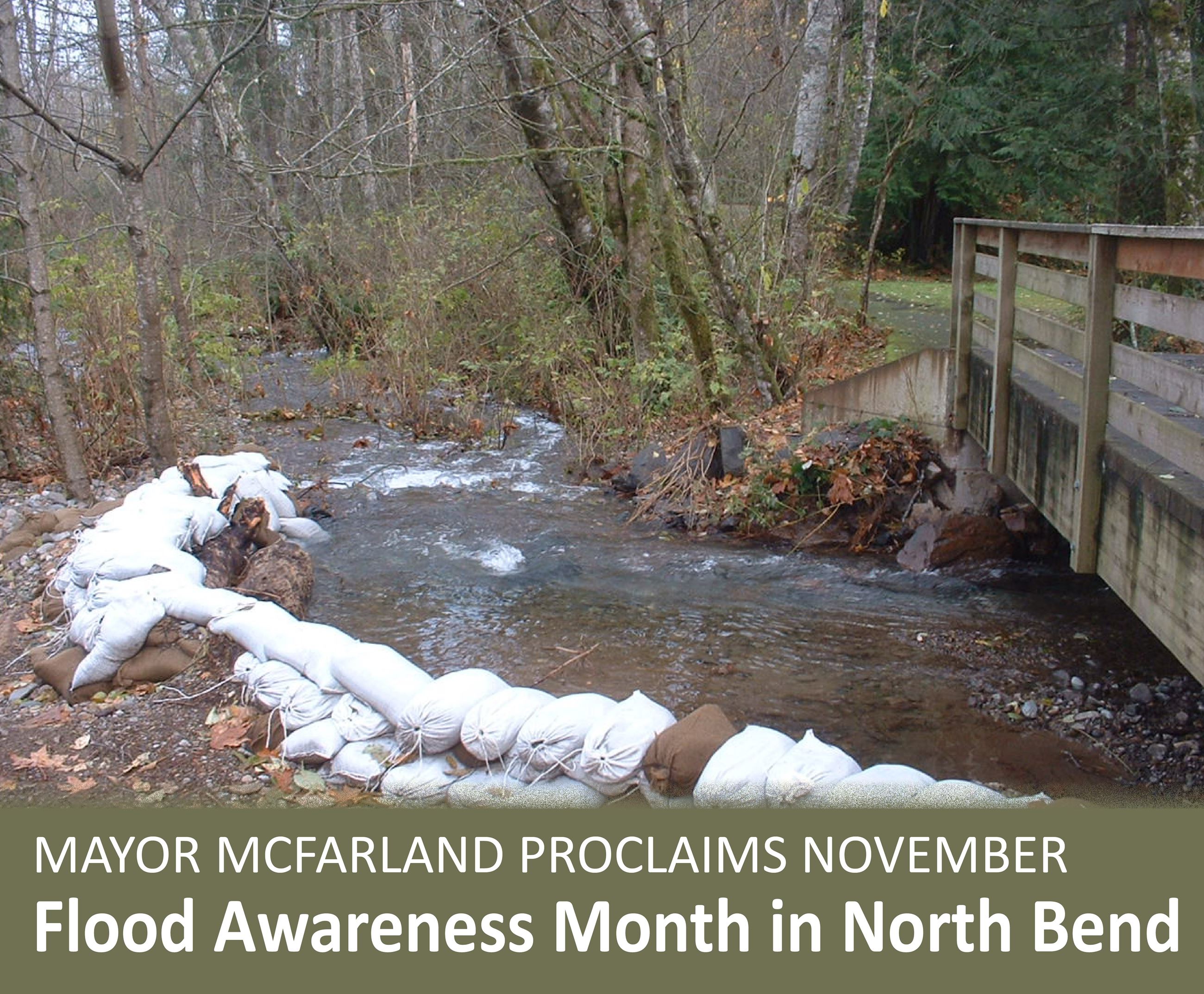 Flood Awareness Website Infographic