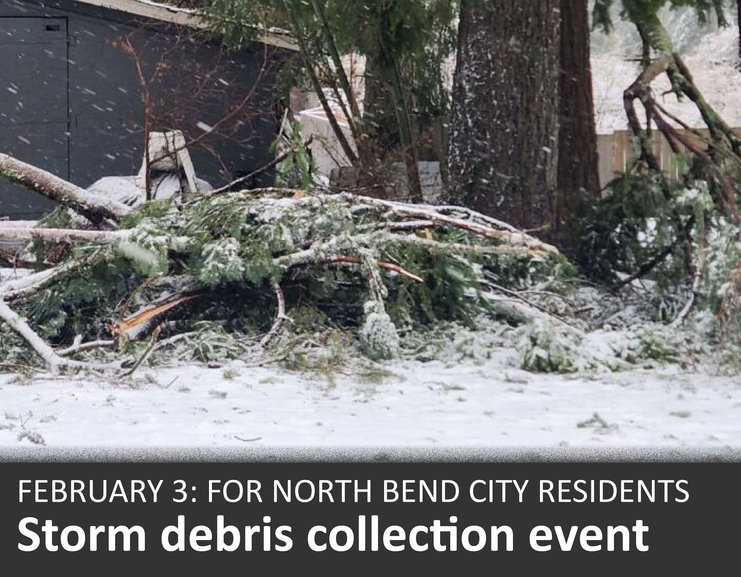 Debris event, website infographic