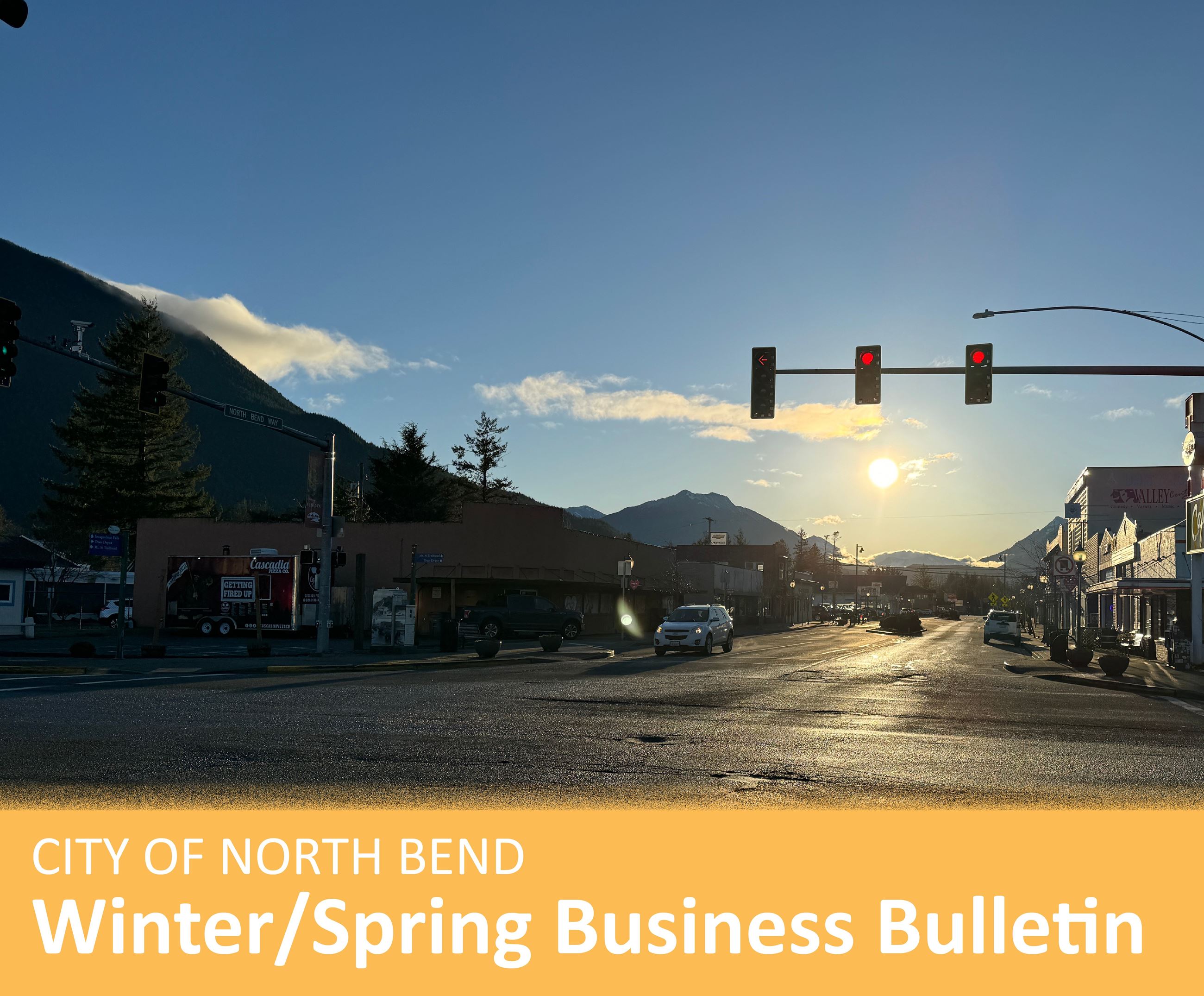 Business Bulletin, Website Infographic March