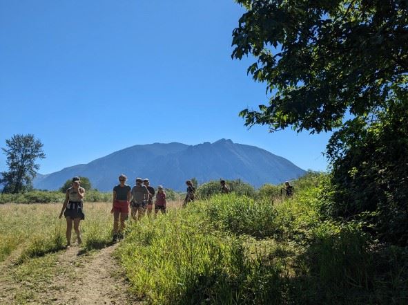 Walking through Meadowbrook