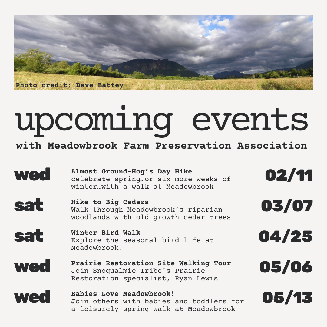 a mountain and text describing educational events