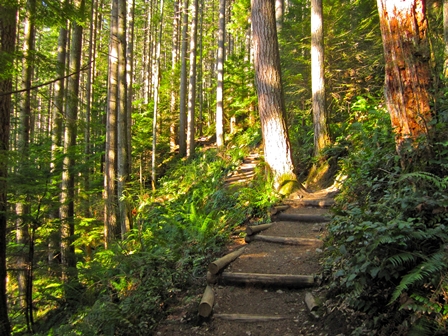 Rattlesnake Ledge Trail